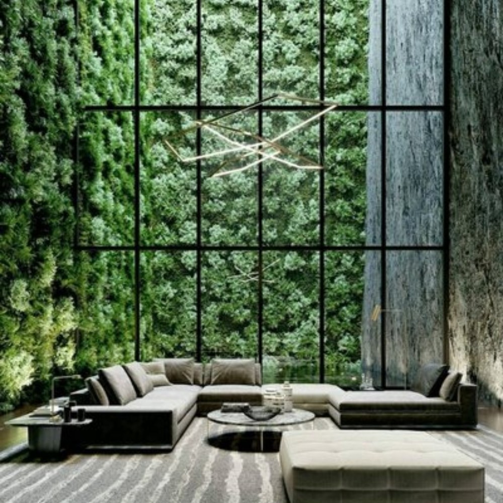 Meet your Posher, Oliver